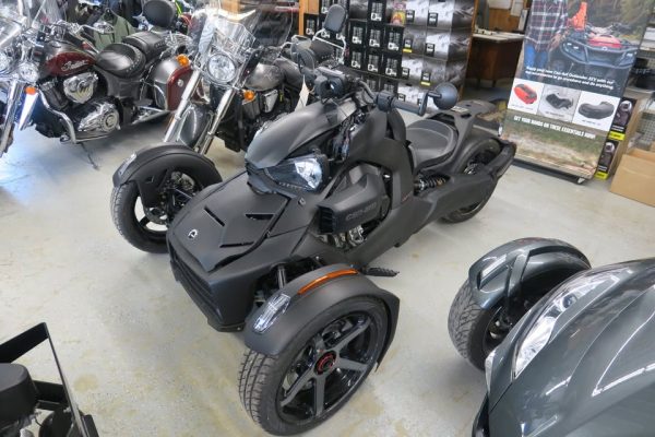 Used 2022 Ryker Sport 900 ACE