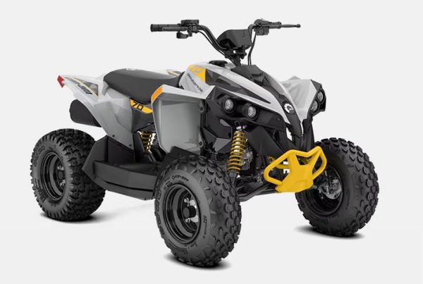 2025 Renegade 110 EFI (Expected May/Jun)